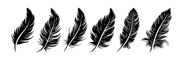 Vector Different Black Fluffy Feather Silhouette Icon Set Zbliżenie Izolowane — Wektor stockowy