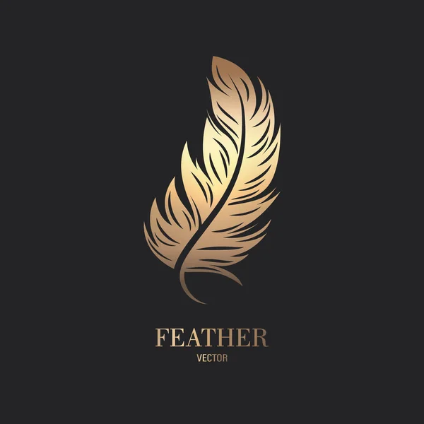 Vector Fluffy Golden Color Feather Logo Icon Silhouet Feather Closeup — Stockvector