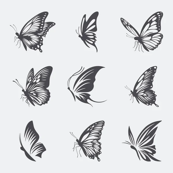 矢量单色黑白手绘蝴蝶图标集独立于白色背景 蝴蝶系列 蝴蝶剪影的复古矢量设计元素 — 图库矢量图片