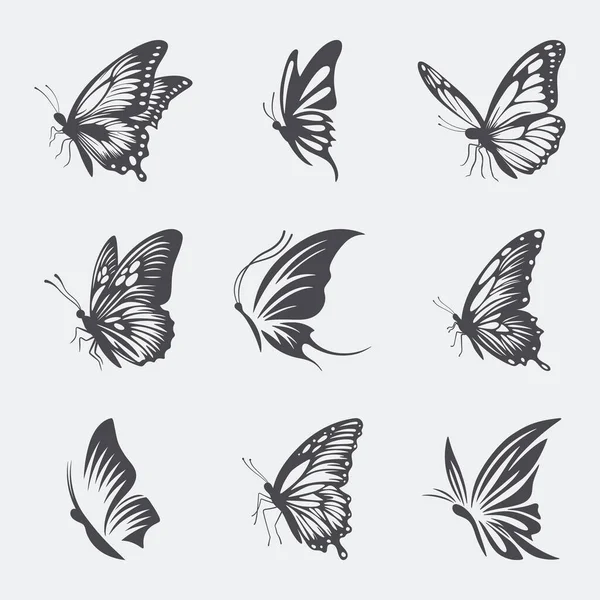 Vector Monochrome Black White Hand Drawn Butterfly Icon Set Isolated — Stock Vector