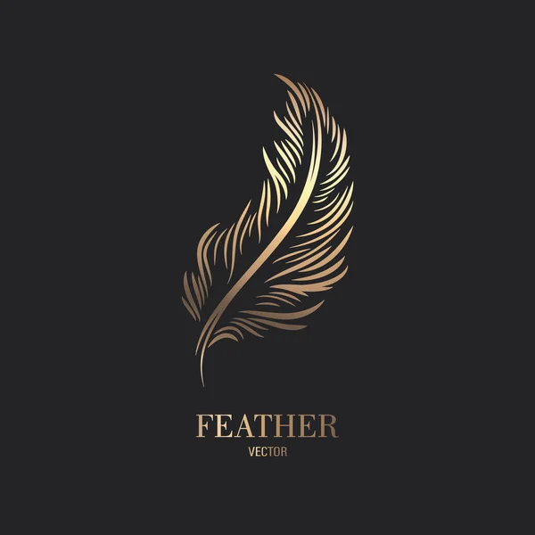 Vektor Fluffy Golden Color Feather Logo Ikona Silueta Feather Closeup — Stockový vektor