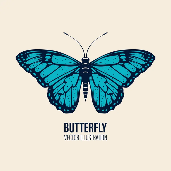 Vector Hand Drawn Butterfly Icon Closeup Isolated White Background Butterfly — стоковий вектор