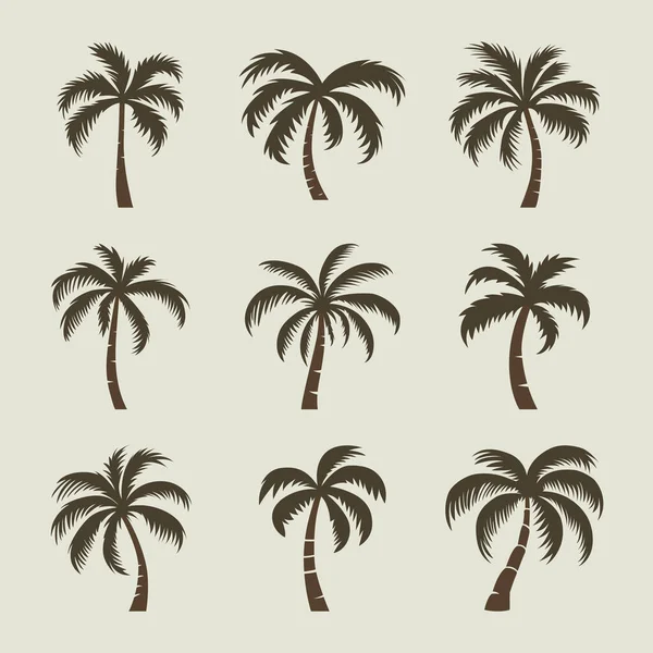 Vector Palm Trees Palm Tree Icon Set Απομονωμένο Παλμ Σιλουέτες — Διανυσματικό Αρχείο