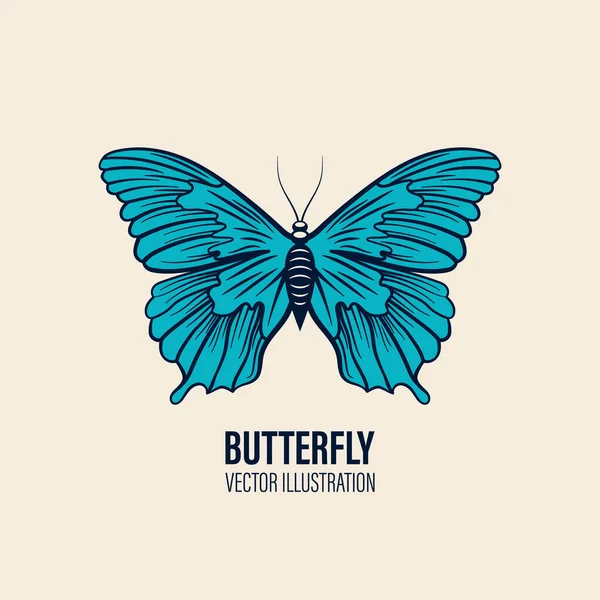 Wektor Ręcznie Rysowane Butterfly Ikona Zbliżenie Izolowane Białym Tle Wzór — Wektor stockowy
