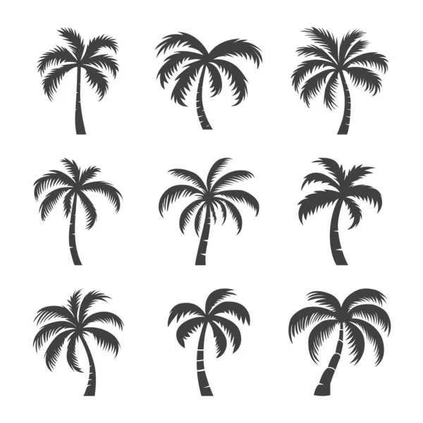 Vektorové Palmy Ikony Palem Izolované Palmové Siluety Design Šablona Pro — Stockový vektor