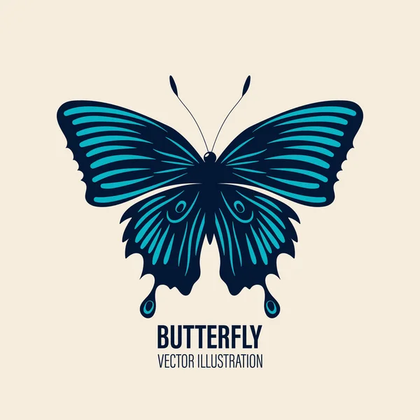 Vektor Ručně Kreslený Motýl Ikona Closeup Izolované Bílém Pozadí Šablona — Stockový vektor