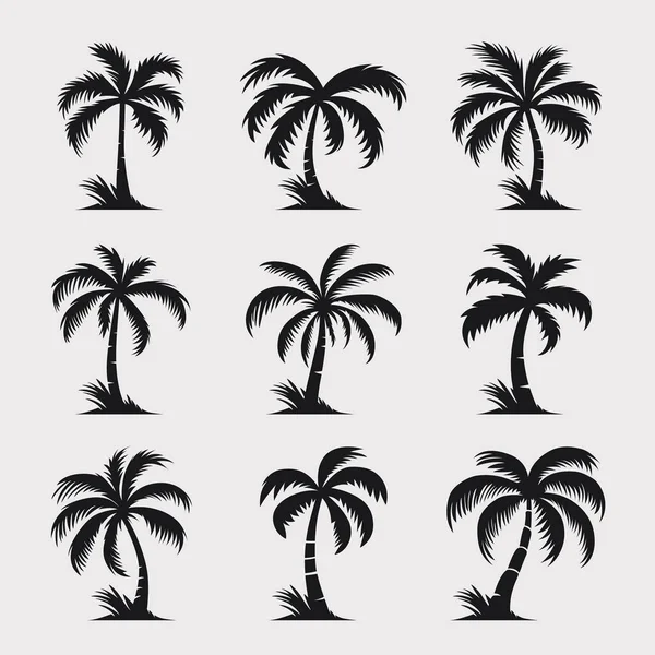Palmy Wektorowe Ikona Palmy Odizolowane Palmowe Sylwetki Wzór Szablon Tropikalny — Wektor stockowy