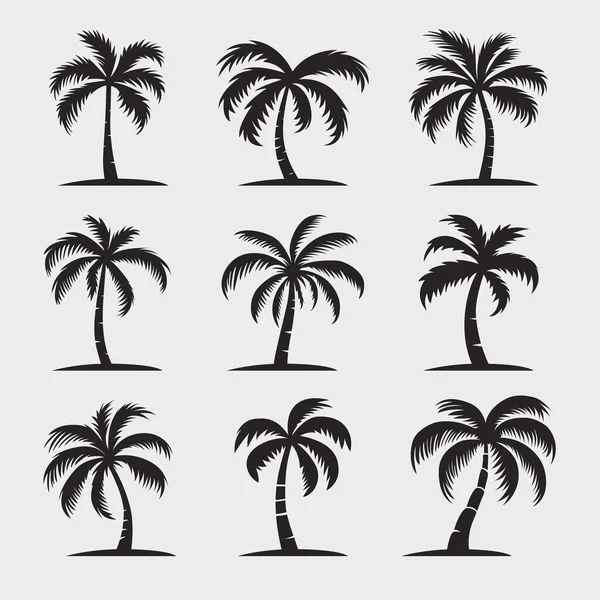 Palmy Wektorowe Ikona Palmy Odizolowane Palmowe Sylwetki Wzór Szablon Tropikalny — Wektor stockowy