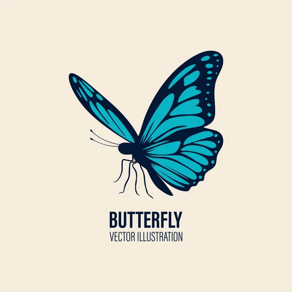 Vector Hand Drawn Butterfly Icon Closeup Isolated White Background Butterfly — стоковий вектор