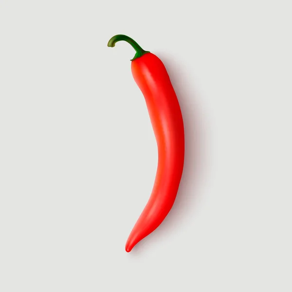 Vector Realistic Red Hot Chili Pepper Icon Closeup Isolated White — Stock Vector