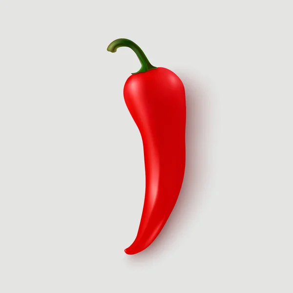 Vektor Realistik Red Hot Chili Pepper Icon Closeup Terisolasi White - Stok Vektor