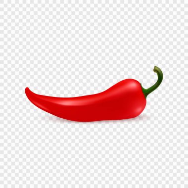 Vektör 3d Gerçekçi Kırmızı Acı Biber Simgesi Kapatma İzolasyonu. Bir, Single Fresh Chili Hot Pepper Tasarım Şablonu Mutfak Ürünleri ve Tarifleri. Vektör İllüstrasyonu. Ön Görünüm.