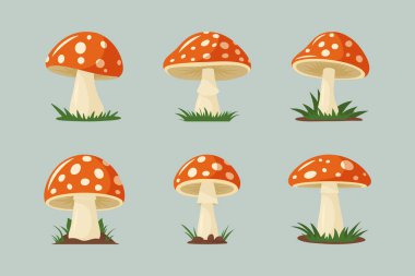 Vektör El Çizilmiş Çizgi Film Düz Mantar Simgesi Ayarlandı. Amanita Muscaria, Fly Agaric Illustration, Mantar Koleksiyonu. Sihirli Mantar Sembolü, Tasarım Şablonu.