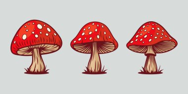Vector Hand Drawn Mushroom With Outline Icon Set Isolated. Amanita Muscaria, Fly Agaric Scetch, Doodle, Linear Sign Collection. Magic Mushroom Symbol, Design Template. Vector illustration. clipart