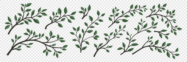 Tree Brunch Icon Set Isolated. Flat Cartoon Simple Twig with Green Leaves Collection. Design Decorative Elements. Spring, Summer Leaves, Brunches, Plants, Leaves, Herbs. Vector Illustration.