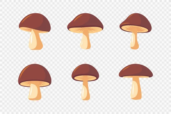Conjunto Ícones Cogumelos Lisos Desenhados Mão Vetorial Isolado Brown Comestível — Vetor de Stock