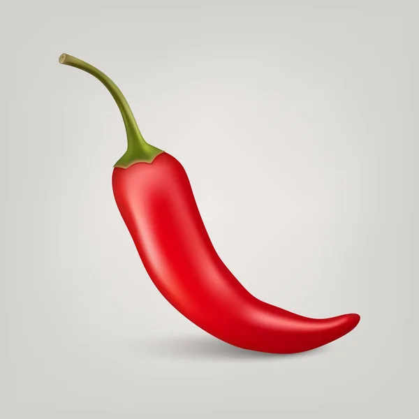 Vector Realistic Red Whole Fresh Hot Chili Pepper Nahaufnahme Isoliert — Stockvektor