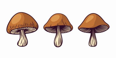 Vektör El Çizilmiş Çizgi Mantar Taslak Simgesi İzole Edildi. Kahverengi Yenilebilir Mantar Mantarı İllüstrasyonu, Mantar Koleksiyonu. Sihirli Mantar Sembolü, Tasarım Şablonu.