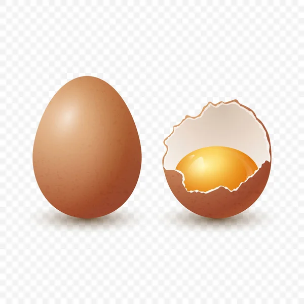 ベクトル3D現実的な茶色の鶏の卵 テクスチャーブロークンチキン卵 2つの部分 黄身のクローズ分離したオープンクラック生チキン卵 ベクトル エッグ分離 正面図の半分の卵 — ストックベクタ