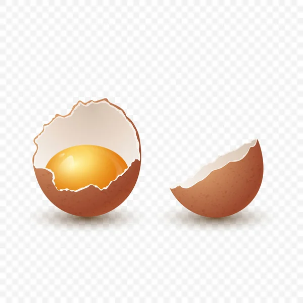 Vektör Gerçekçi Kahverengi Tavuk Yumurtaları Dokulu Kırık Tavuk Yumurtası Parça — Stok Vektör