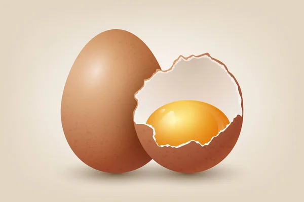 Вектор Revic Brown Chicken Текстурированное Разбитое Куриное Яйцо Две Части — стоковый вектор