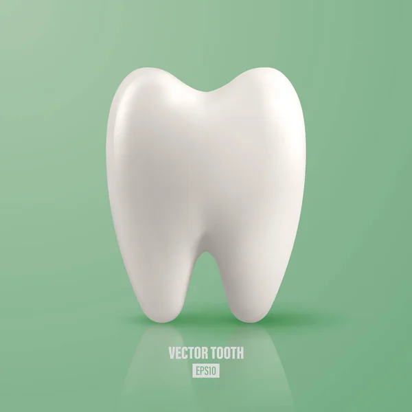 Vector Realistic Tooth Dental Inspection Banner Plackard Tooth Icon Closeup — Stock Vector