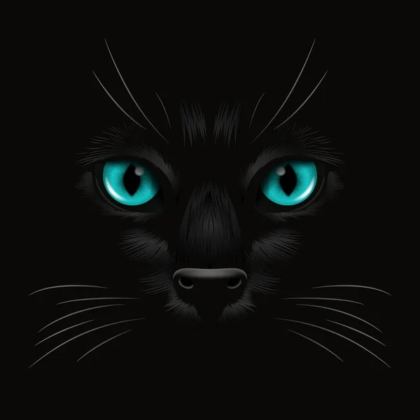 ベクトル3D現実的な赤猫闇の中の黒猫の目 猫の顔とはい 黒のウィスカ 猫の閉鎖暗闇の中で見てください フロントビュー — ストックベクタ