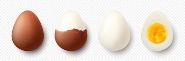 Vektör 3d Gerçekçi Kahverengi Tavuk Yumurtaları. Dokulu, çatlak, soyulmuş, haşlanmış tavuk yumurtası, haşlanmış yumurta, yumurta sarısı kapaklı, izole edilmiş. Yumurtalar izole edilmiş. Tüm, Yarım Yumurta Kesimi, Ön Görünüm