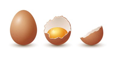 Vektör 3d Gerçekçi Kahverengi Tavuk Yumurtaları. Dokulu ve Kırık Tavuk Yumurtası, İki Parça, Yumurta sarısı izole edilmiş çiğ tavuk yumurtası. Vektör yumurtalar izole edildi. Tüm, Ön Görünümde Yarım Yumurta.