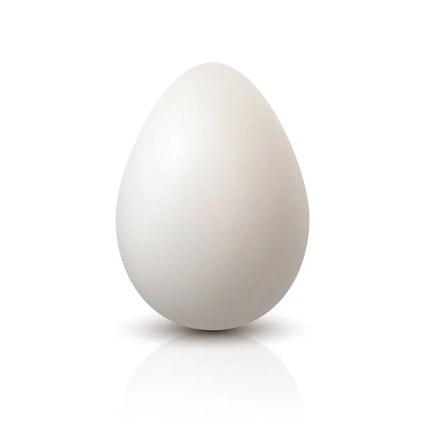 Wektor Realistyczne White Chicken Egg Zbliżenie Teksturowana Ikona Jaja Kurzego — Wektor stockowy