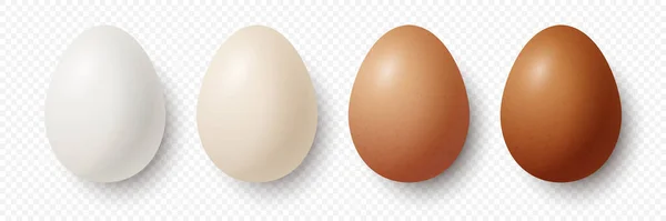 Six Vector Realistic White Brown Chicken Eggs Opened Carton Paper - Stok Vektor