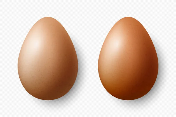 病媒3D现实的棕色纹理鸡蛋堵塞隔离 鸡蛋套装 向量不同颜色的全蛋 前面的蛋 顶视图 — 图库矢量图片