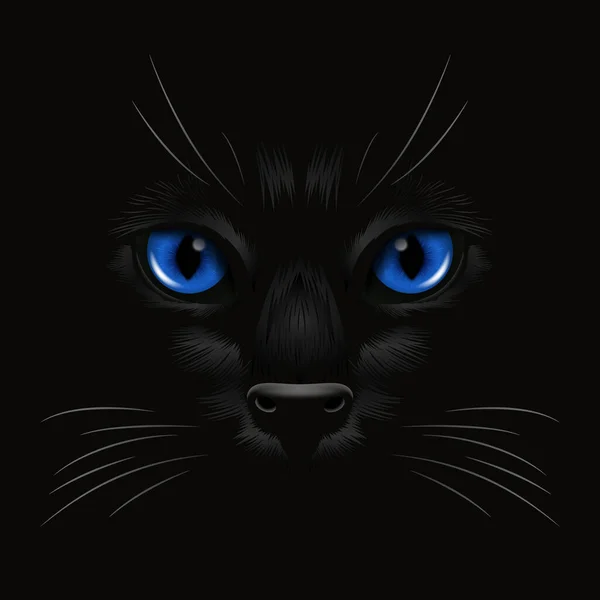 Vector Realista Red Cats Eye Gato Preto Escuro Noite Vermelho — Vetor de Stock