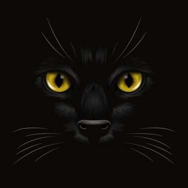 Vektör 3d Gerçekçi Sarı, Kahverengi, Karanlıktaki Kara Kedi 'nin Turuncu Kediler Gözü, Gece. Evet Burunlu Kedi Yüzlü, Siyah Bıyıklı. Cat Closeup Karanlıkta Bak. Ön Görünüm.