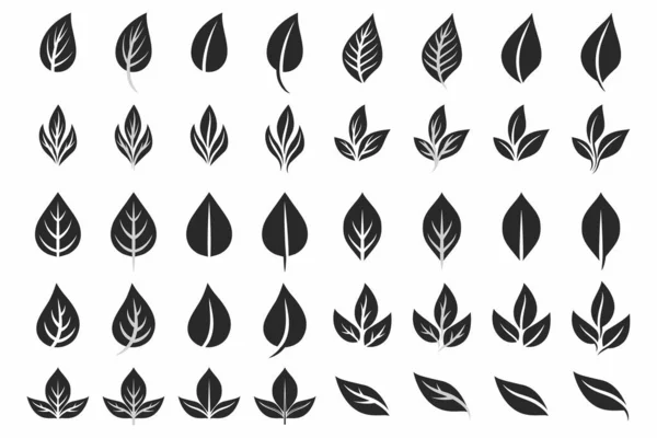 Vektor Flat Black White Leaf Icon Set Izolovaný Kolekce Listů — Stockový vektor