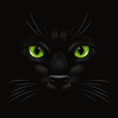Vektör 3d Karanlıktaki Kara Kedi 'nin Gerçekçi Yeşil Kediler Gözü, Gece. Evet Burunlu Kedi Yüzlü, Siyah Bıyıklı. Cat Closeup Karanlıkta Bak. Ön Görünüm.