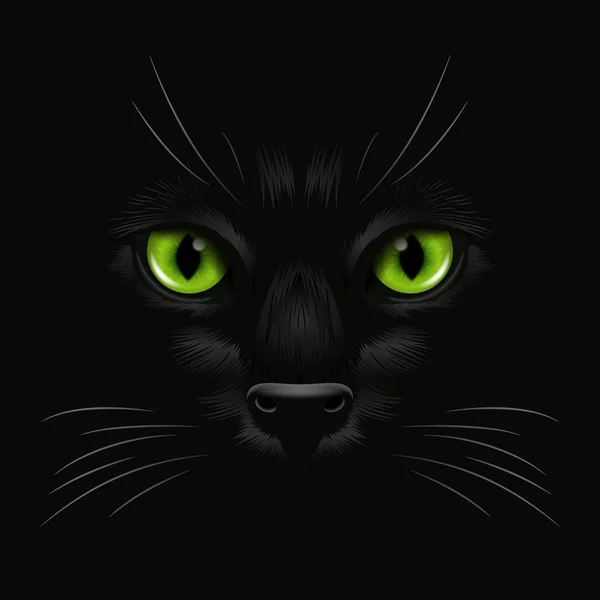 Vector Realista Gatos Verdes Ojo Gato Negro Oscuridad Noche Cara — Archivo Imágenes Vectoriales