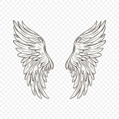 Kara Kanat Simgesi Vektörü. Klasik Melek Kanatları Simgesi, Tasarım Şablonu, Clipart. Aşk tanrısı, melek ya da kuş kanatları. Vektör illüstrasyonu.