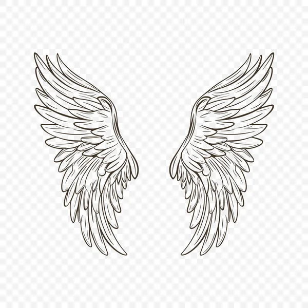 向量黑色翼图标 古色古香的天使翼图标 设计模板 客户端 丘比特 天使或鸟翼 矢量说明 — 图库矢量图片