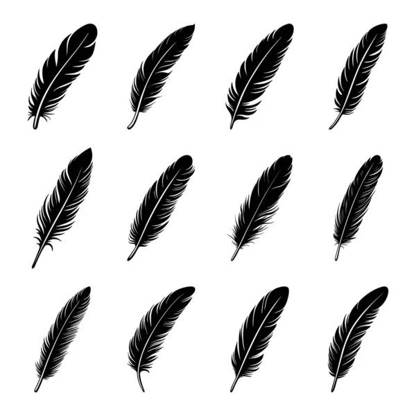 Vector Fluffy Feather Logo Icon Set Silhouette Feather Closeup Isolated — стоковий вектор