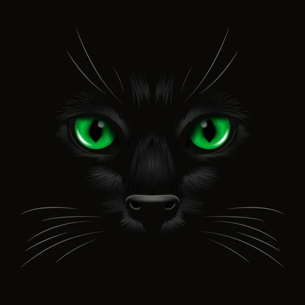 Vecteur Réaliste Yeux Chat Vert Chat Noir Dans Obscurité Nuit — Image vectorielle