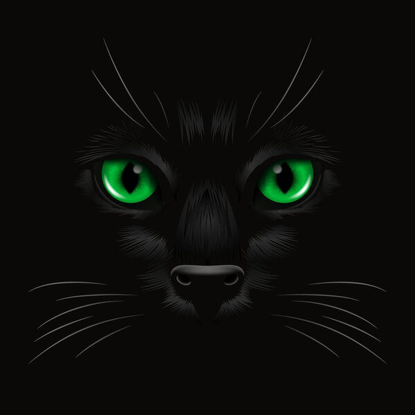 Vector 3d Realistic Green Cats Eye of a Black Cat in the Dark, at Night. Cat Face with Yes, Nose, Whiskers on Black. Cat Closeup Look in the Darkness. Front View.