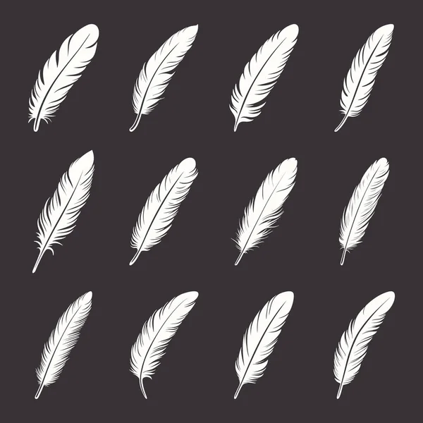 Vector Fluffy Feather Logo Icon Set Silhouette Feather Closeup Izolált — Stock Vector
