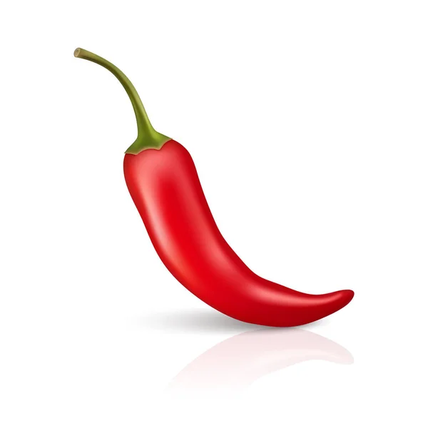 Vector Realistic Red Whole Fresh Hot Chili Pepper Mit Reflexion — Stockvektor