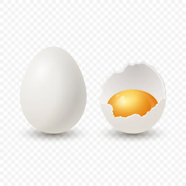 Διάνυσμα Ρεαλιστικά Λευκά Αυγά Κοτόπουλου Σπασμένο Αυγό Κοτόπουλου Ραγισμένα Δύο — Διανυσματικό Αρχείο