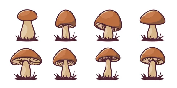 Вектор Рисунок Мультфильм Наброском Иконы Изолированной Brown Boletus Mushroom Mushrooms — стоковый вектор