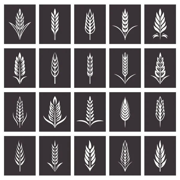 Набір Іконок Пшениці Сільського Господарства Органічна Пшениця Хлібне Сільське Господарство — стоковий вектор