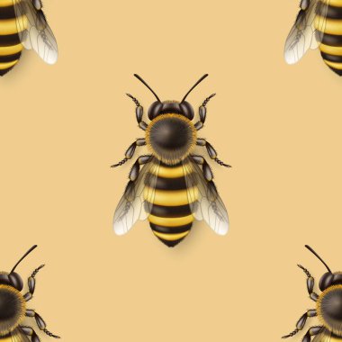 Vector Seamless Pattern with 3d Realistic Detailed Honey Bee Icon Closeup on Yellow Background. Queen Honeybee Design Template, Vector Illustration of Bee in Macro, Top View.