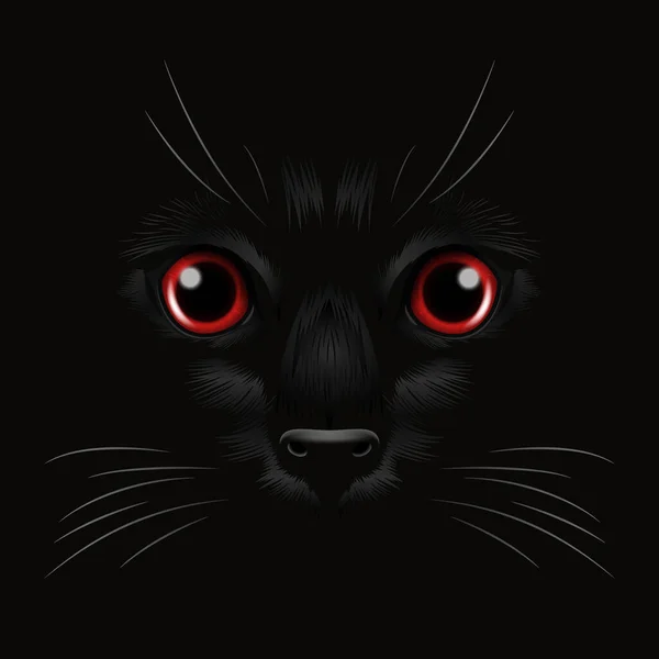 黑暗中一只黑猫现实的红猫的眼睛 在夜晚 猫脸与是的 胡须在黑色 猫的衣服在黑暗中看 — 图库矢量图片