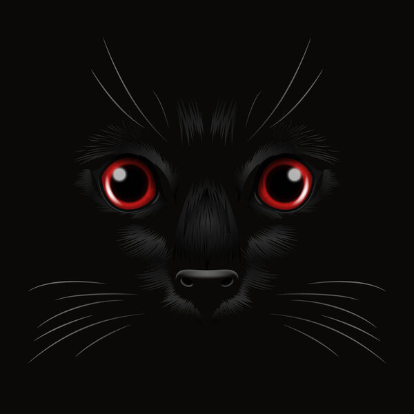 Vector 3d Realistic Red Cats Eye of a Black Cat in the Dark, at Night. Cat Face with Yes, Nose, Whiskers on Black. Cat Closeup Look in the Darkness. Front View.